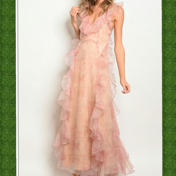 Blush Nude Dress 101 - Picture 2 of 5